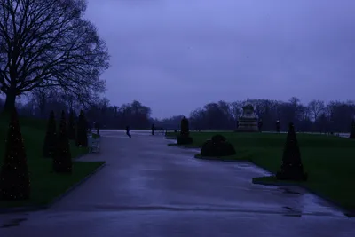 DSC_6191 (Large).JPG